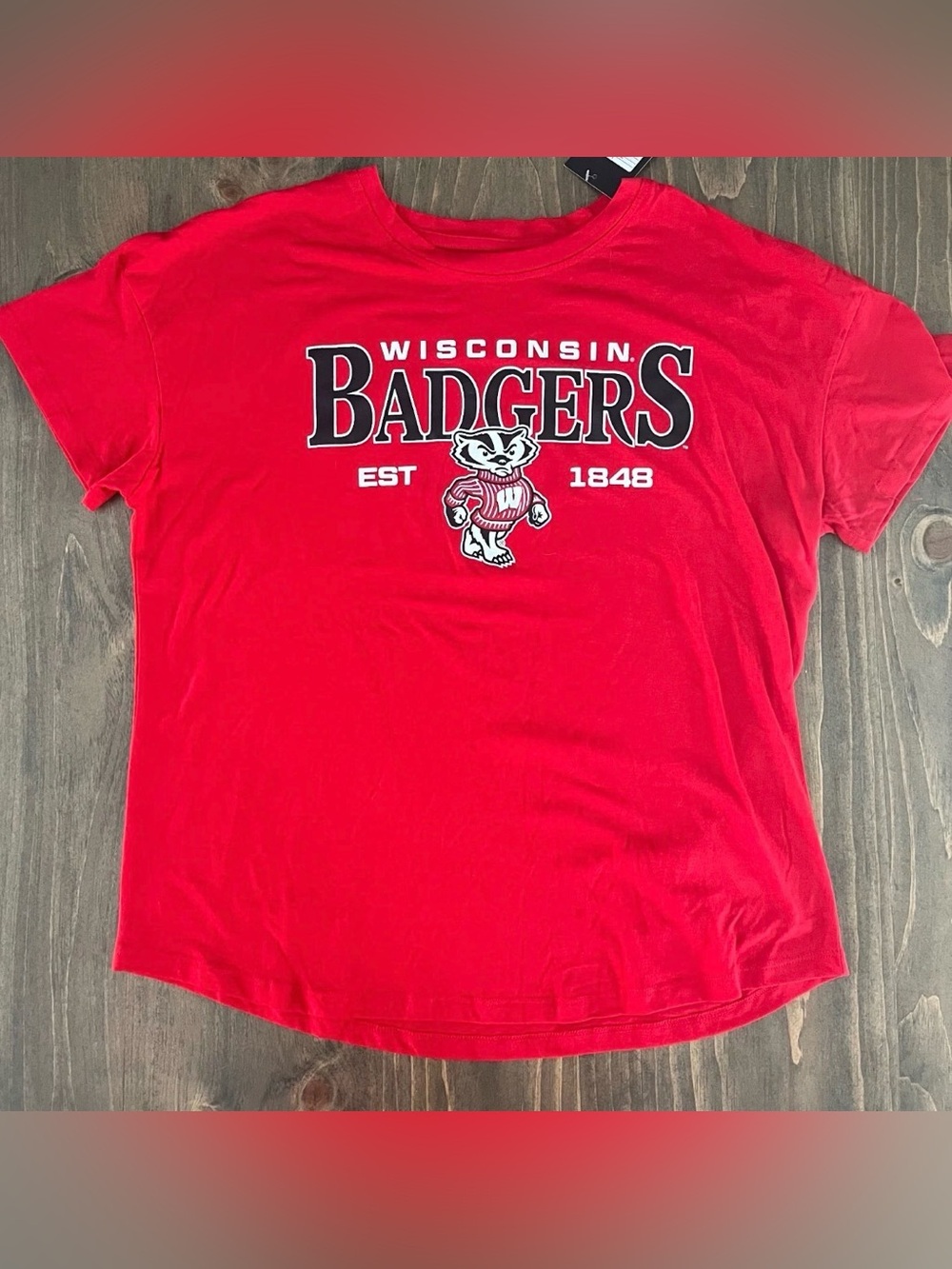 Wisconsin Badgers T-Shirt Men's Large New With Tags Captivating Brand